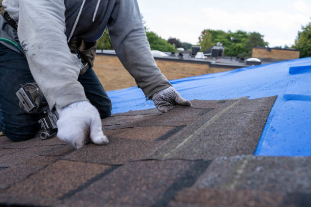Roof Gutter Cleaning in Durham, NC